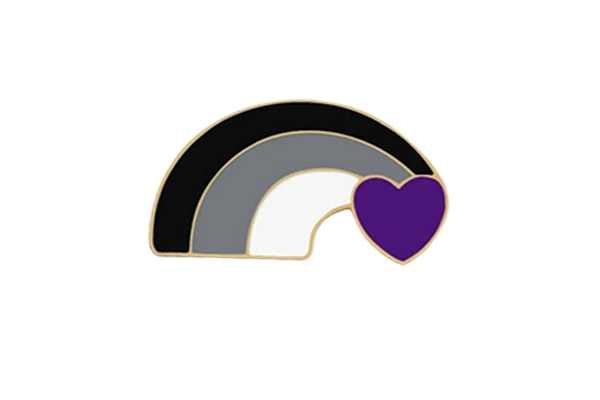 Asexual Rainbow Flag Pin