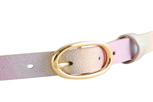 Glitter Rainbow Belt
