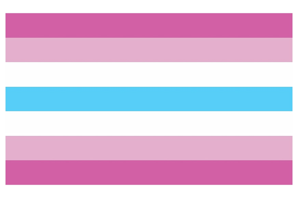 Femboy Flag