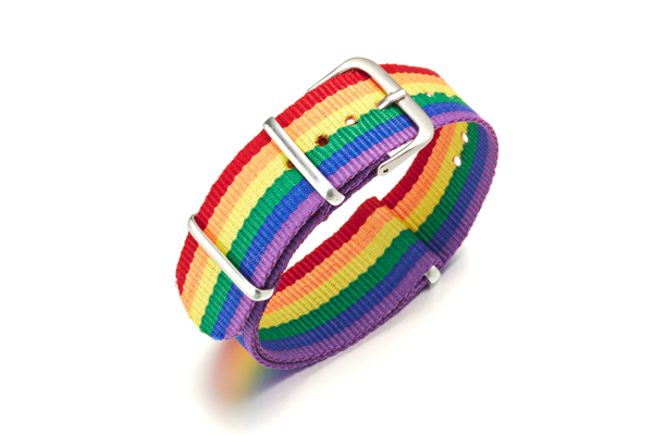 Rainbow Strap Bracelet