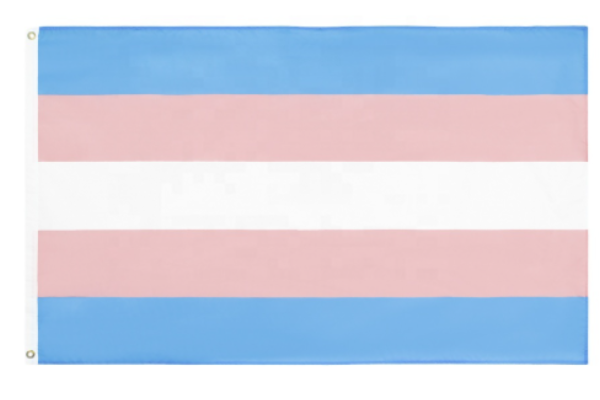 Transgender Flag