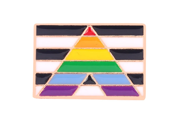 Straight Ally Flag Pin