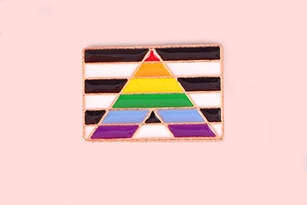 Straight Ally Flag Pin