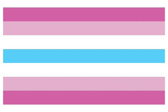 Femboy Flag – LGBTQ+ Flags Australia