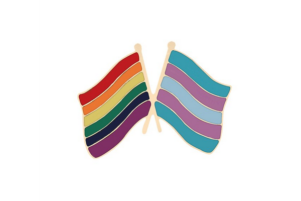 Rainbow & Trans Flags Pin