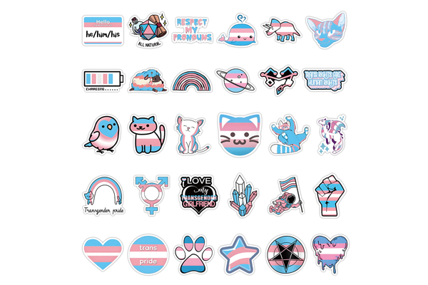 Trans Sticker 60 Piece Pack